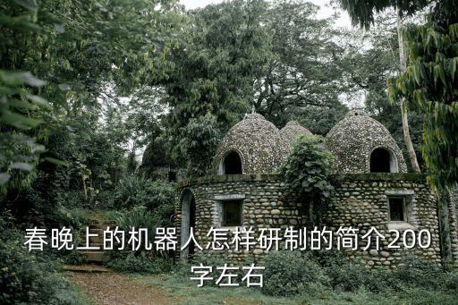 機器人春,最萌動漫機器人登春晚寫書法!