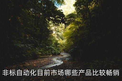 非標(biāo)自動化目前市場哪些產(chǎn)品比較暢銷