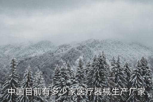 中國(guó)目前有多少家醫(yī)療器械生產(chǎn)廠家