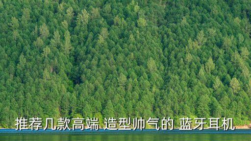 推薦幾款高端 造型帥氣的 藍牙耳機