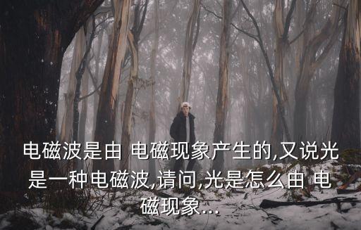 電磁波是由 電磁現(xiàn)象產(chǎn)生的,又說(shuō)光是一種電磁波,請(qǐng)問(wèn),光是怎么由 電磁現(xiàn)象...