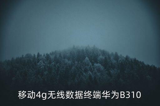 移動(dòng)4g無(wú)線數(shù)據(jù)終端華為B310