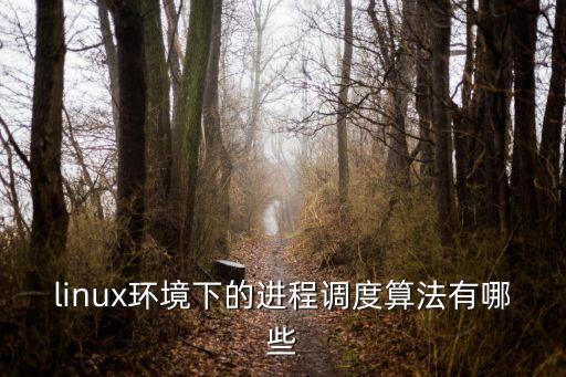 linux環(huán)境下的進(jìn)程調(diào)度算法有哪些