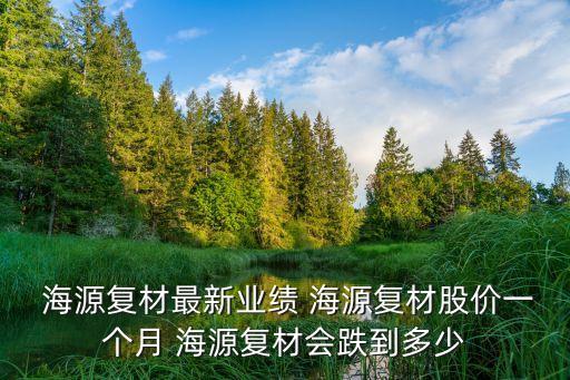  海源復(fù)材最新業(yè)績 海源復(fù)材股價一個月 海源復(fù)材會跌到多少