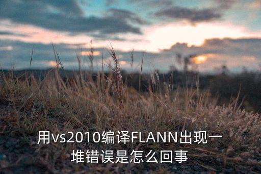 用vs2010編譯FLANN出現(xiàn)一堆錯(cuò)誤是怎么回事