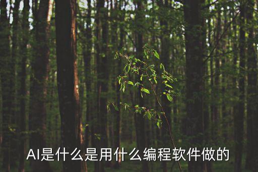 AI是什么是用什么編程軟件做的