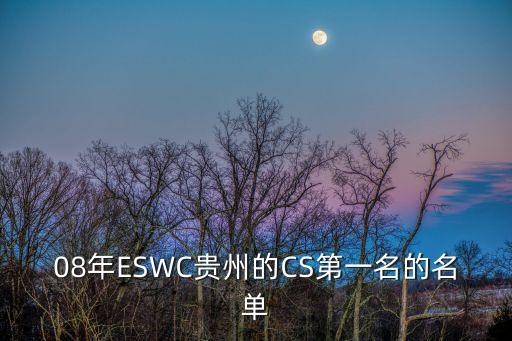 08年ESWC貴州的CS第一名的名單