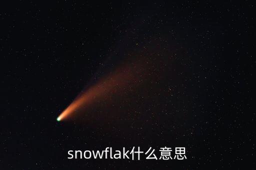 snowflak什么意思
