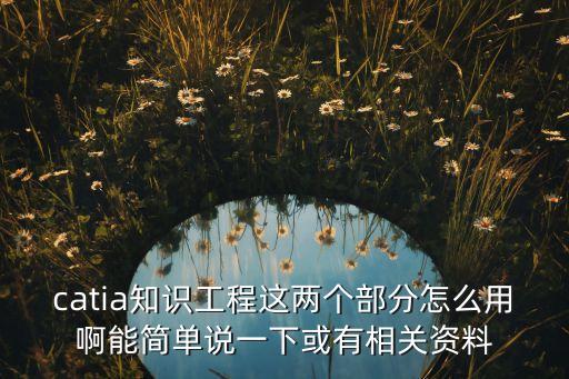 catia知識工程這兩個部分怎么用啊能簡單說一下或有相關(guān)資料