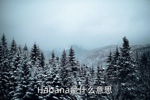 Habana是什么意思