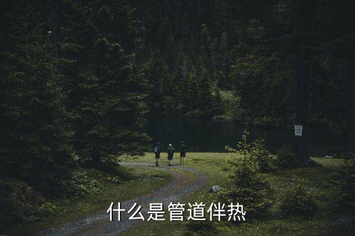 管道電伴熱，什么是電伴熱保溫
