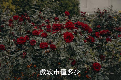微軟市值多少