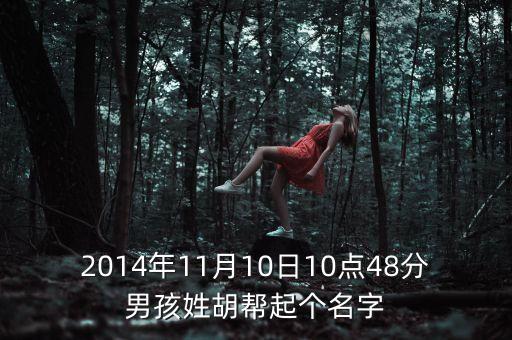 2014年11月10日10點(diǎn)48分男孩姓胡幫起個(gè)名字