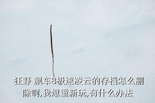  狂野 飆車8極速凌云的存檔怎么刪除啊,我想重新玩,有什么辦法