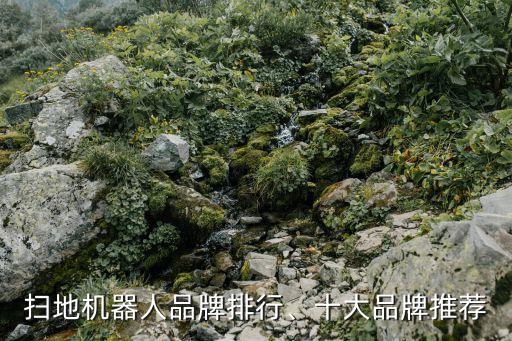 什么品牌擦地機(jī)器人好,這幾個(gè)品牌的機(jī)器人掃地機(jī)好!