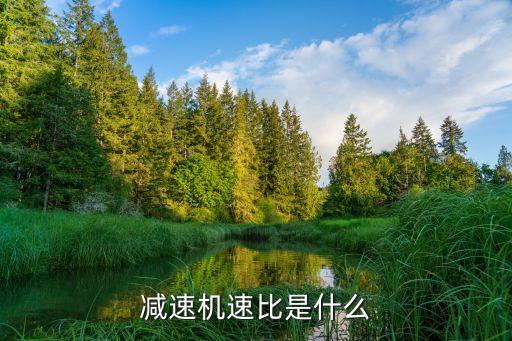 減速機(jī)速比是什么