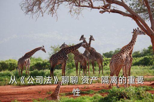 資產(chǎn)隔離數(shù)據(jù),企業(yè)和家庭資產(chǎn)如何隔離