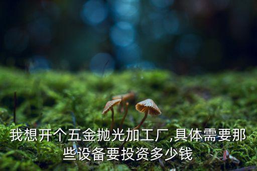 我想開個(gè)五金拋光加工廠,具體需要那些設(shè)備要投資多少錢