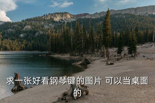求一張好看鋼琴鍵的圖片 可以當(dāng)桌面的