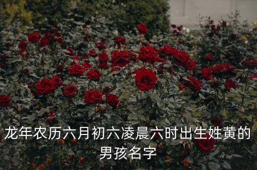 黃海明，龍年農(nóng)歷六月初六凌晨六時出生姓黃的男孩名字