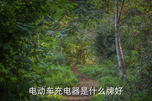 電動(dòng)車充電器是什么牌好
