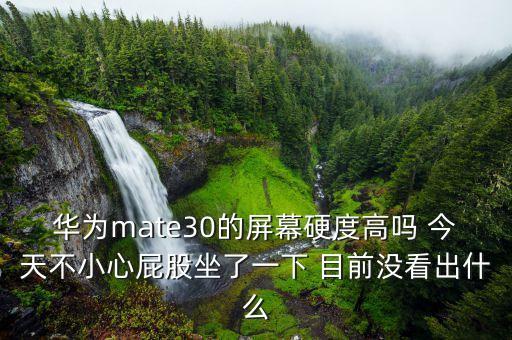 華為mate30屏幕，華為mate30的屏幕硬度高嗎 今天不小心屁股坐了一下 目前沒看出什么