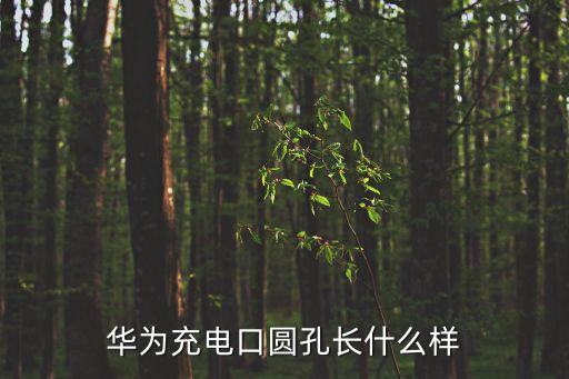 華為充電口圓孔長什么樣