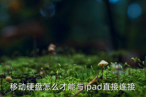 蘋果平板怎么連接數據,蘋果ipad怎么連接電腦?看這里!