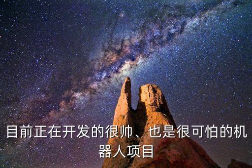 目前正在開發(fā)的很帥、也是很可怕的機(jī)器人項(xiàng)目