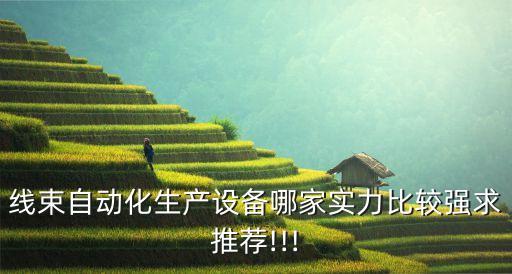 線束自動(dòng)化生產(chǎn)設(shè)備哪家實(shí)力比較強(qiáng)求推薦!!!