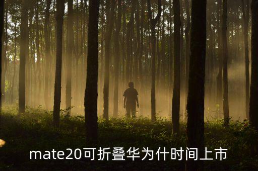 mate20發(fā)布日期，mate20可折疊華為什時間上市