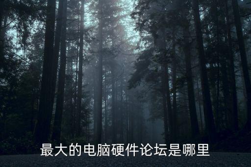 電腦硬件論壇，最大的電腦硬件論壇是哪里