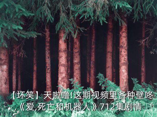 和美女機(jī)器人啪啪視頻教程,女性機(jī)器人為什么這么受歡迎?