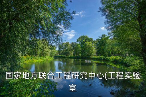 國家地方聯(lián)合工程研究中心(工程實驗室