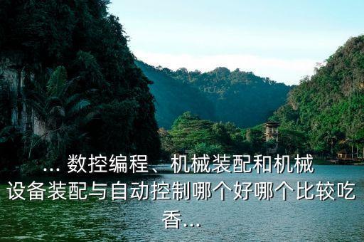 ... 數(shù)控編程、機械裝配和機械 設備裝配與自動控制哪個好哪個比較吃香...