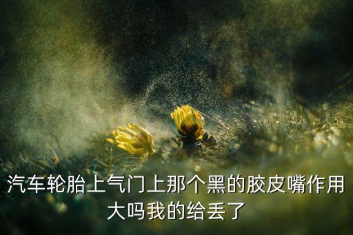 防塵帽，汽車裝了胎壓監(jiān)測防塵帽沒了普通的可以用嗎