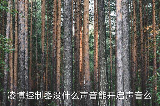 凌博控制器沒什么聲音能開啟聲音么