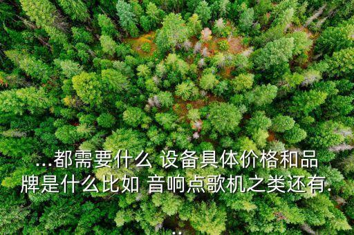 ...都需要什么 設(shè)備具體價(jià)格和品牌是什么比如 音響點(diǎn)歌機(jī)之類還有...