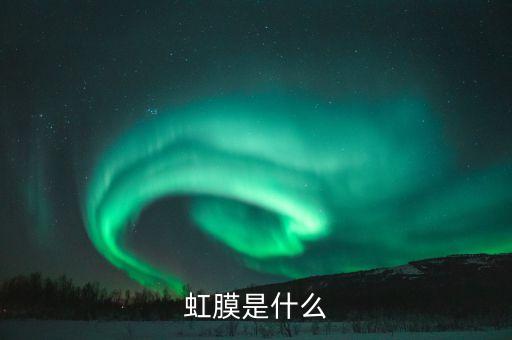 虹膜，虹膜有什么作用