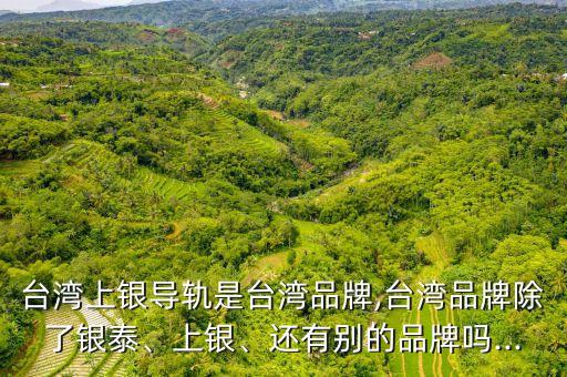 臺灣上銀導(dǎo)軌是臺灣品牌,臺灣品牌除了銀泰、上銀、還有別的品牌嗎...