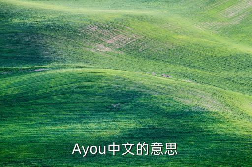 ayou，Ayou中文的意思