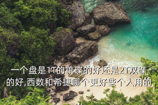 西部數(shù)據(jù) re sas,西數(shù)和希捷哪個(gè)更好?一起來看看!