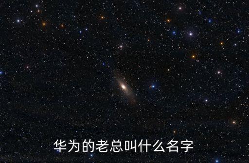 華為的老總叫什么名字