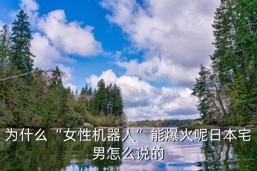 高仿真美女機(jī)器人圖片大全,最逼真的美女機(jī)器人是哪款?