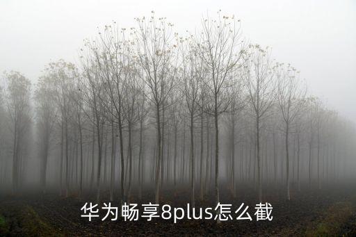 華為暢享8plus怎么截