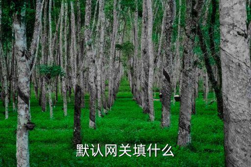 默認(rèn)網(wǎng)關(guān)填什么