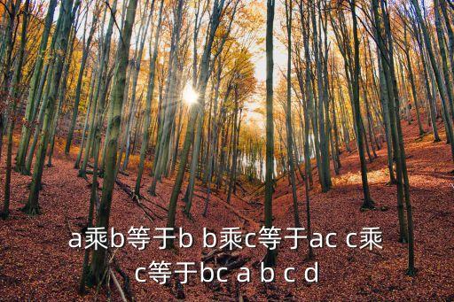 a乘b等于b b乘c等于ac c乘c等于bc a b c d