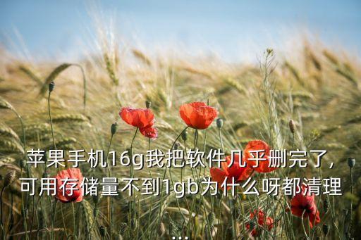 蘋果手機(jī)16g我把軟件幾乎刪完了,可用存儲(chǔ)量不到1gb為什么呀都清理...