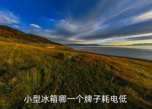 小型冰箱哪一個(gè)牌子耗電低