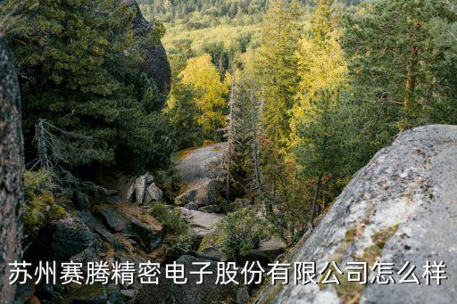蘇州賽騰精密電子股份有限公司怎么樣